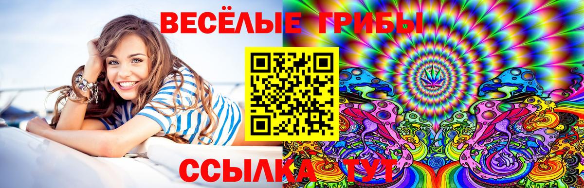 Галлюциногенные грибы Cubensis Бор